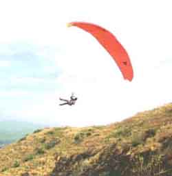 Western Paragliding Association - Venu monkeying around