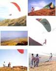 Photo Gallery - Virar