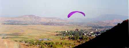 Western Paragliding Association  - Firebird in flight