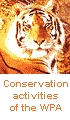 Conservation activities of the Western Paragliding Association