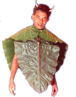 Bullshetty
