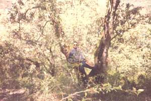 Corbett