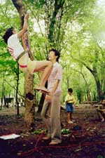 A new way to climb trees