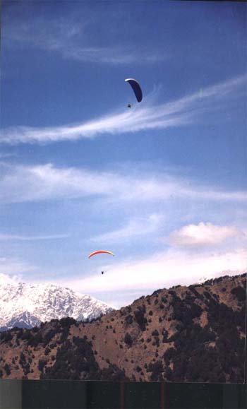 sumit10.jpg (24927 bytes)